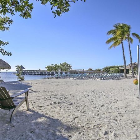 Vitamin Sea Tavernier المظهر الخارجي الصورة